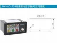 DXN8D-T20高压带电显示器（灯泡可插拔）
